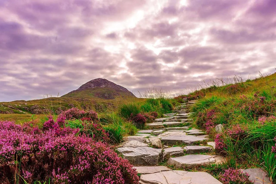 Stone path climbing Diamond Hill in Connemara