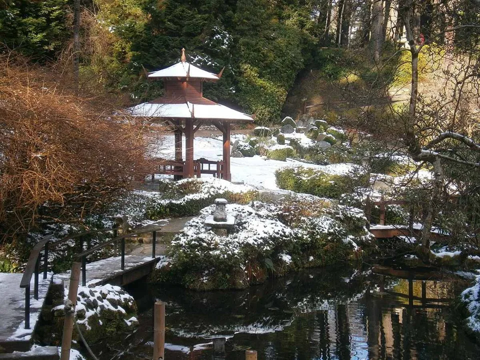 A Japanese-style garden corner at Powerscourt with snow
